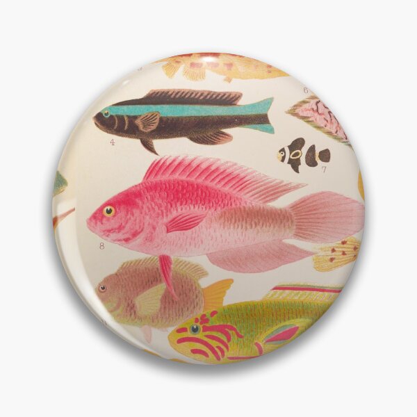 Aperçu de l'œuvre Illustration vintage de poissons tropicaux de la grande barrière de corail créée et vendue par VintageArchive.