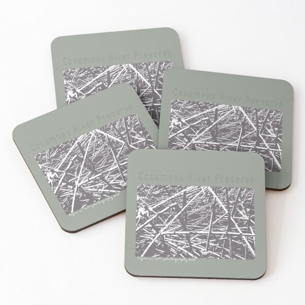 Item preview, Cosumnes River Preserve 01 designed and sold by Bryan W. Cole.