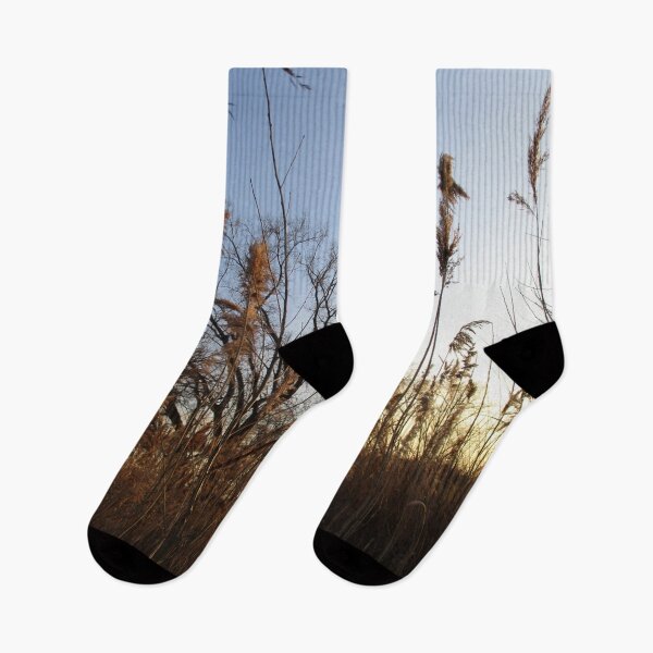 Item preview, Laying in the Tall Grass designed and sold by Nockaburn.