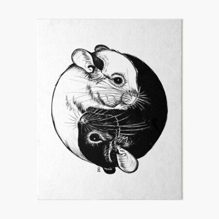 Artikel-Vorschau von Chinchilla Yin Yang, designt und verkauft von camarocaro.