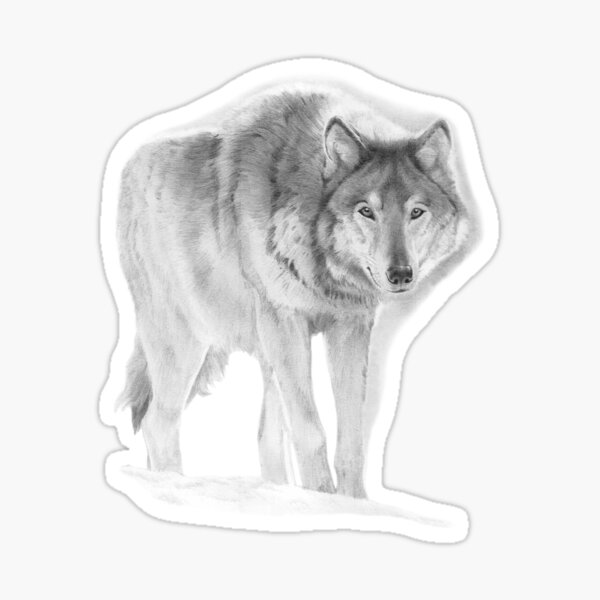 Bleistift Wolf Geschenke Merchandise Redbubble