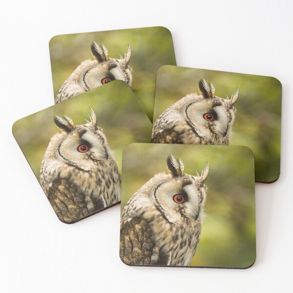 Item preview, Long Eared Owl Profile designed and sold by Jane Stanley Photography.