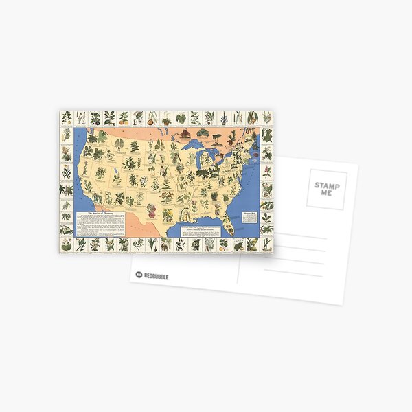 1932 Medicinal Plant Map of the United States. Amazing map of ‘Herbal Cures’ Postcard