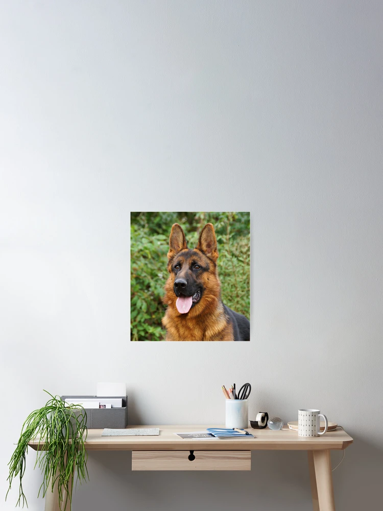 Thumbnail 2 of 3, Poster, Alert Rocco designed and sold by Sandy Keeton.