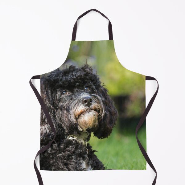 Item preview, Dreaming of Puppy Treats designed and sold by Jane Stanley Photography.