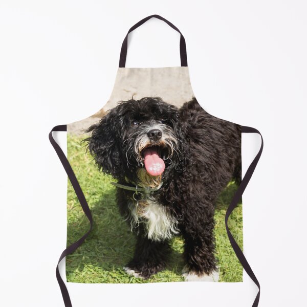 Item preview, Cute Cavapoo Puppy  designed and sold by Jane Stanley Photography.