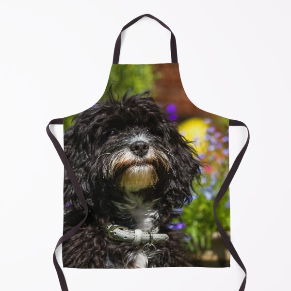 Item preview,  Black Cavapoo Puppy designed and sold by Jane Stanley Photography.