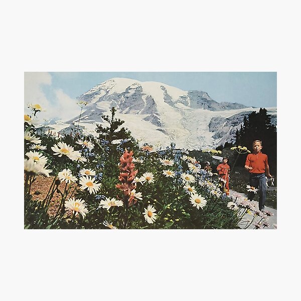 their satanic majesties second request Photographic Print