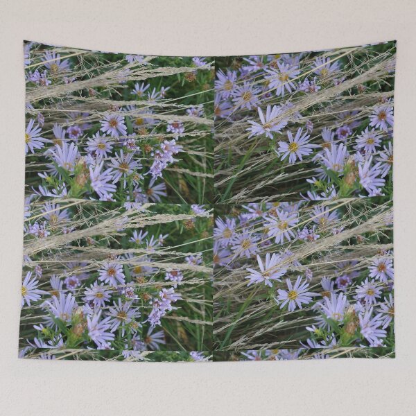 Item preview, Wild blue daisy flowers and grasses designed and sold by naturematters.