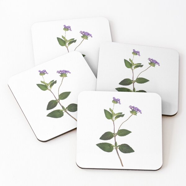 Item preview, Pressed Purple Wildflowers, Pressed Flowers, Wild Flower Art designed and sold by PressedbyHNL.