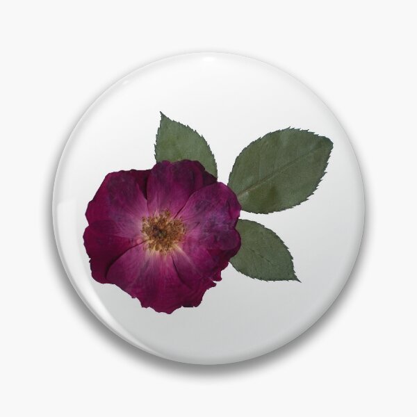 Item preview, Small Pressed Rose, Pressed Flowers, Pink Rose designed and sold by PressedbyHNL.