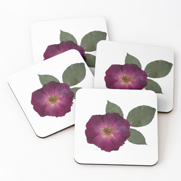 Item preview, Small Pressed Rose, Pressed Flowers, Pink Rose designed and sold by PressedbyHNL.