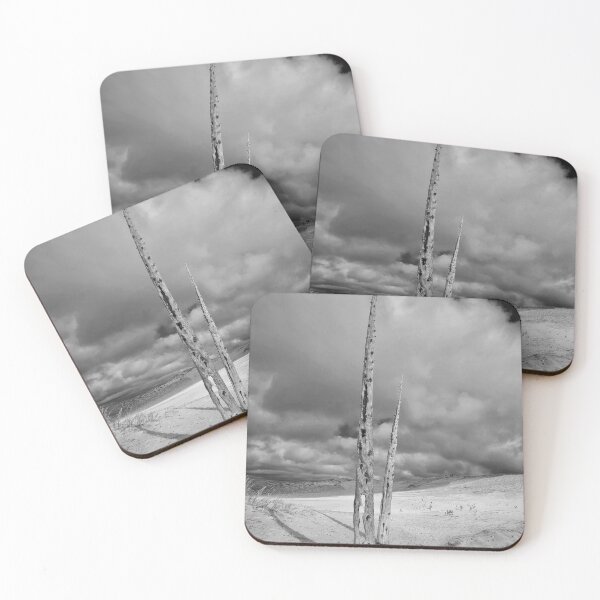 Item preview, Árboles del bosque fantasma designed and sold by J Rier Photography.