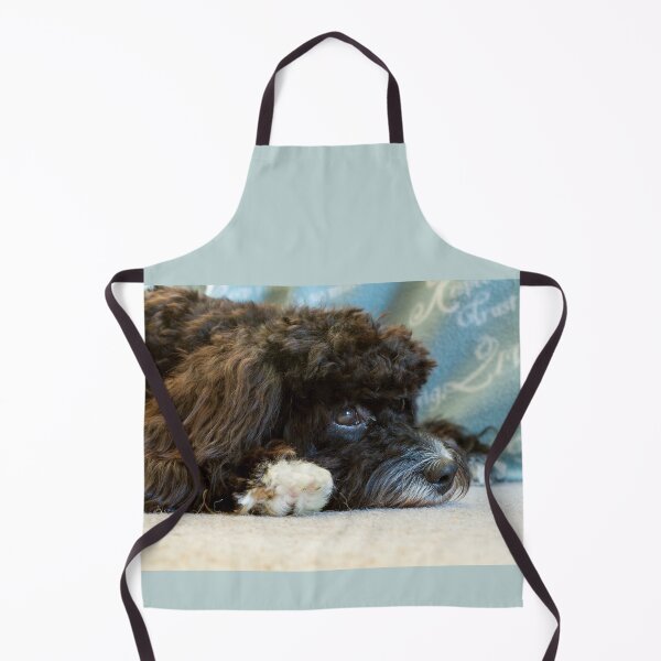 Item preview, Sleepy Cavapoo Puppy designed and sold by Jane Stanley Photography.