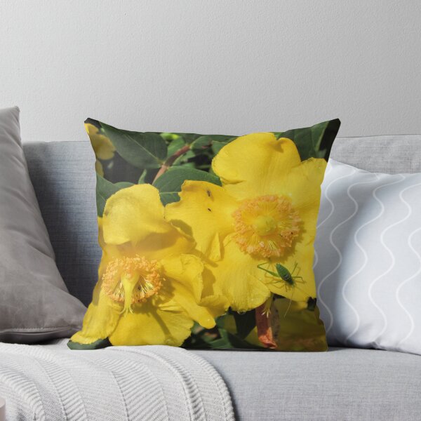 Item preview, Grasshopper on Yellow Hypericum Moserianum designed and sold by GoNatureDesigns.
