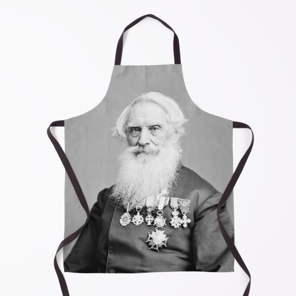 Artikelvorschau, Samuel Morse-Porträt – von Mathew Brady 1866 entworfen und verkauft von warishellstore.