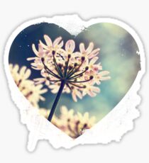Queen Annes Lace flowers Sticker