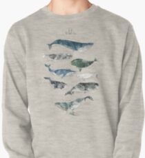 Whales Pullover