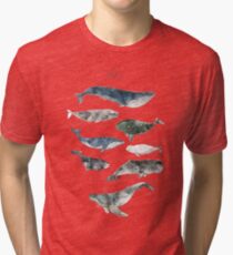 Camiseta de tejido mixto Ballenas