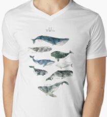 Wale T-Shirt mit V-Ausschnitt für Männer