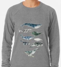 Wale Leichter Pullover