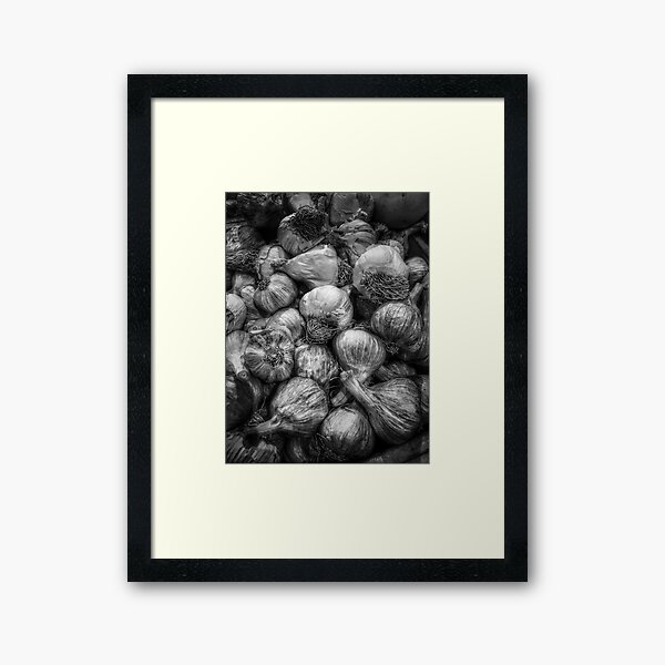 Black and White Garlic Framed Art Print