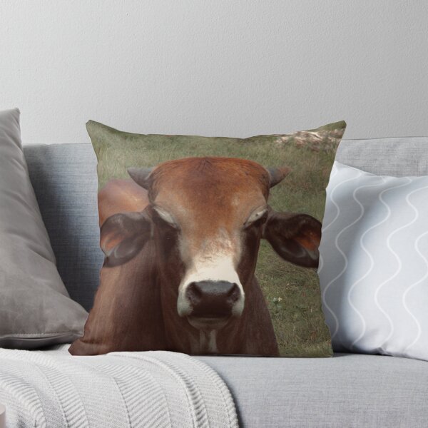 Item preview, brown/red cow designed and sold by Shockzedits.