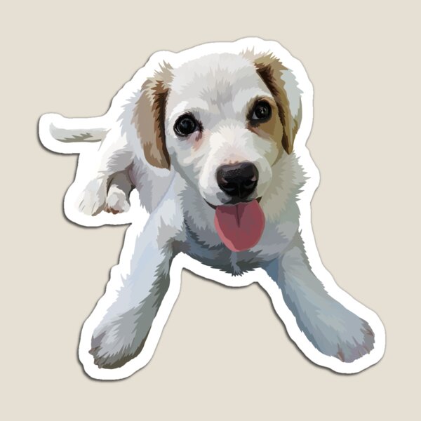 Sawyer Magnet