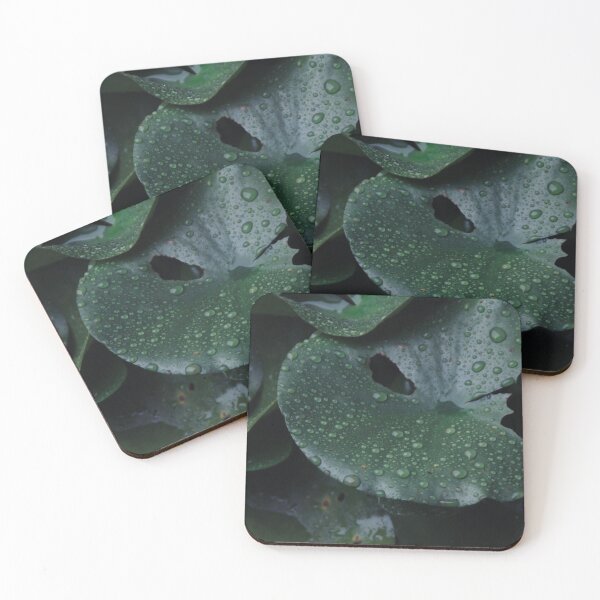 Aperçu de l'œuvre Coussinets de lilly après la pluie créée et vendue par Shockzedits.
