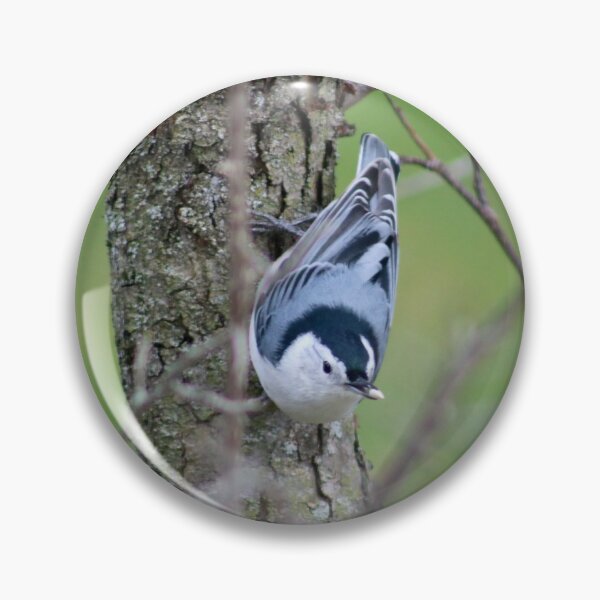 Item preview, White-Breasted Nuthatch in a Crabapple Tree designed and sold by mokacat.