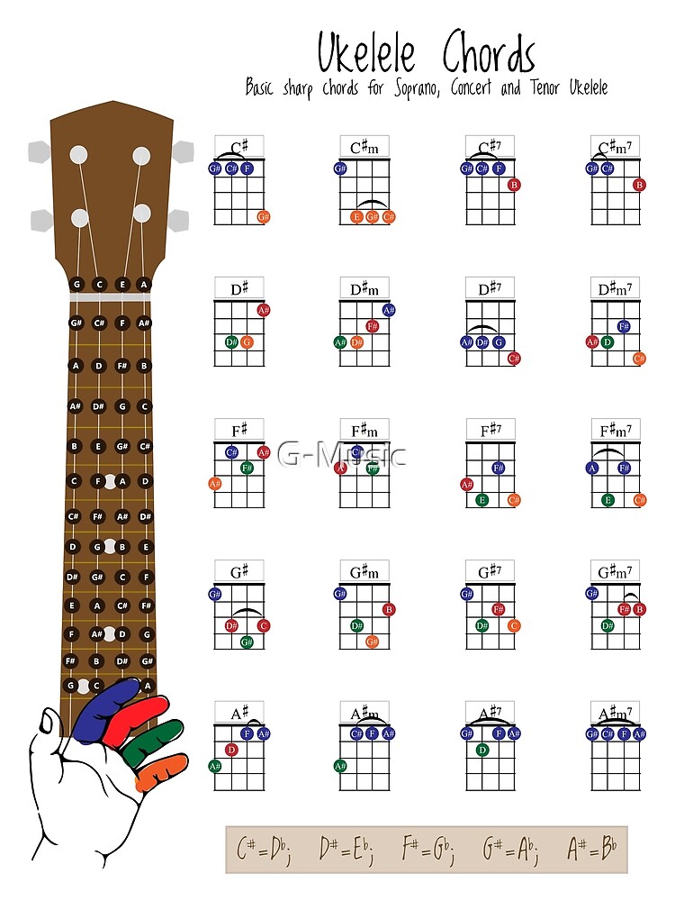 Ukulele Chords Chart Fingering Diagram For Beginners Poster My XXX 