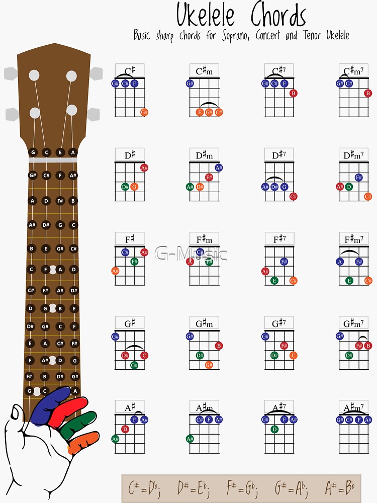 "Ukulele Chords Chart, Fingering Diagram for Beginners" Sticker for