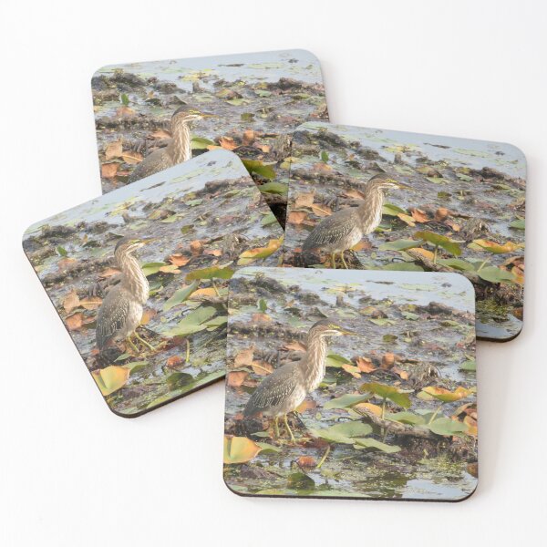 Item preview, Autumn Green Heron designed and sold by catrantula.