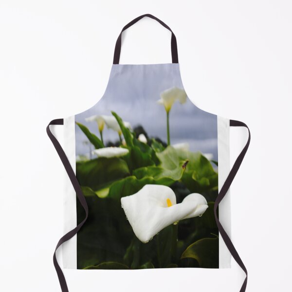 Item preview, Zantedeschia aethiopica designed and sold by Benjamin Fauvel.