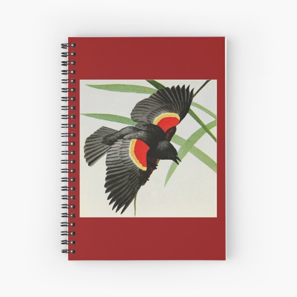 "Red-winged Blackbird" by Louis Agassiz Fuertes, 1919 Spiral Notebook