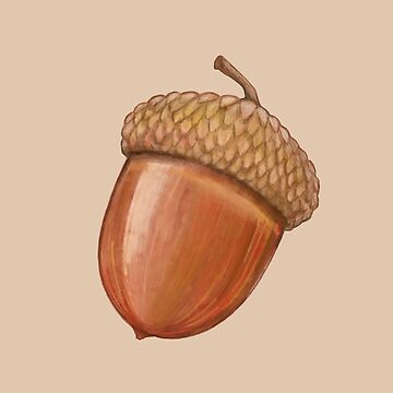 Artwork thumbnail, Acorn by Sammalpeitto