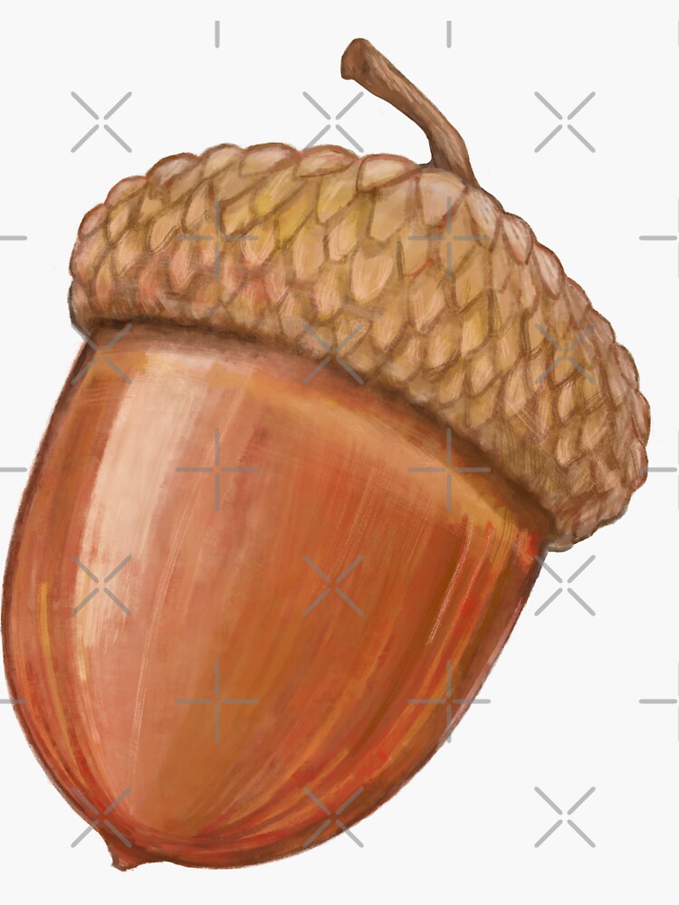 Thumbnail 3 of 3, Sticker, Acorn designed and sold by Sammalpeitto.