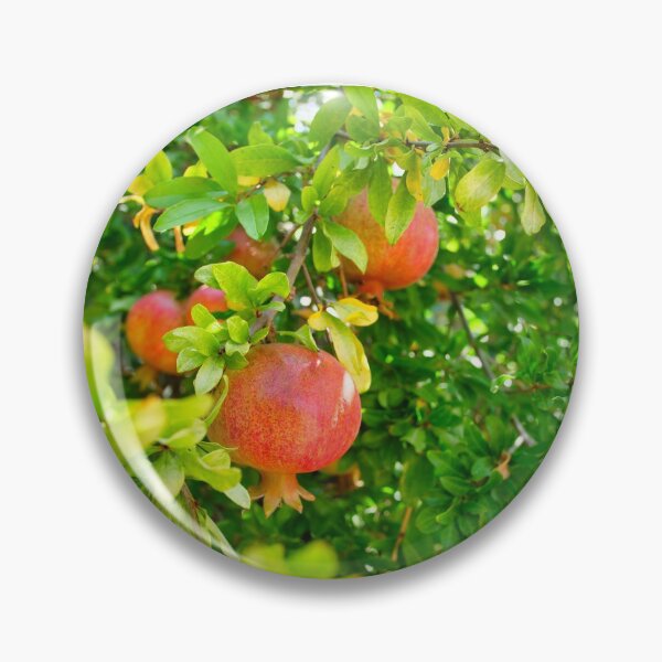 Item preview, Apple Tree designed and sold by edwinvisuals.