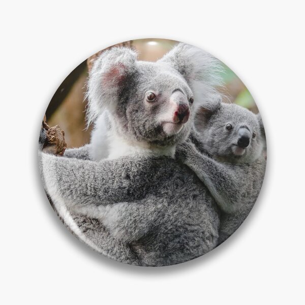 Aperçu de l'œuvre Koala et bébé créée et vendue par Cryptodesignz.