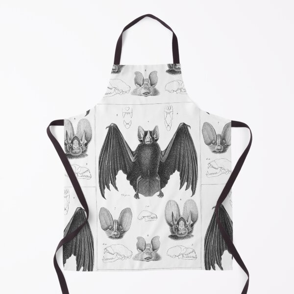 Item preview, Chauve-souris: 1829 bat illustration designed and sold by gumbogirlonline.