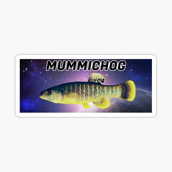 mummichog