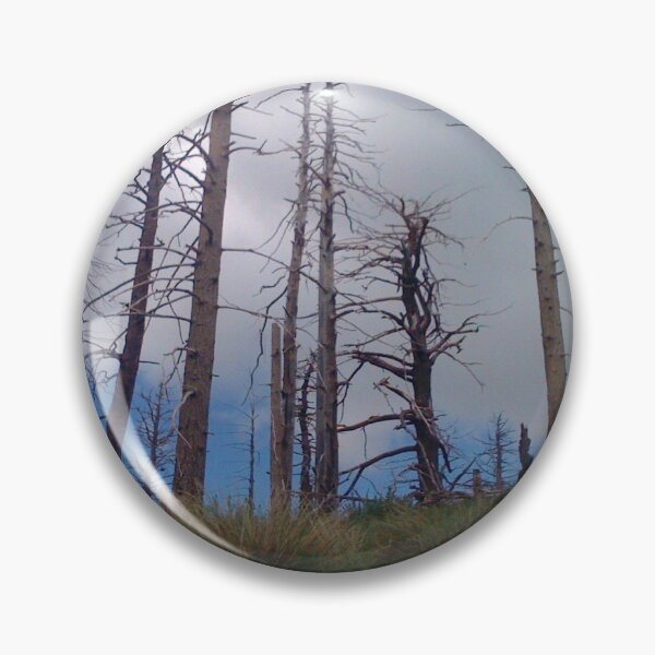 Item preview, Bare trees designed and sold by teamcycloptopus.
