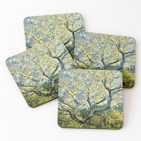 Item preview, Oak Aglow designed and sold by SamanthaJBarnes.