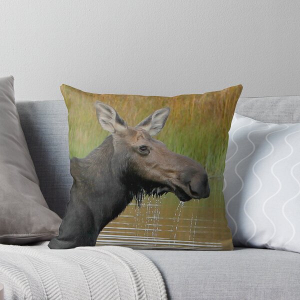 Item preview, Maine Moose at dusk designed and sold by Enola Gay Wagner.