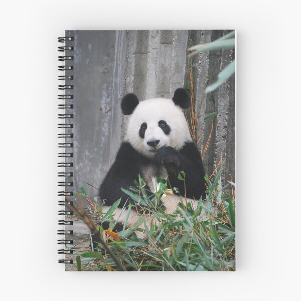 Artikelvorschau, Panda essen entworfen und verkauft von Cryptodesignz.