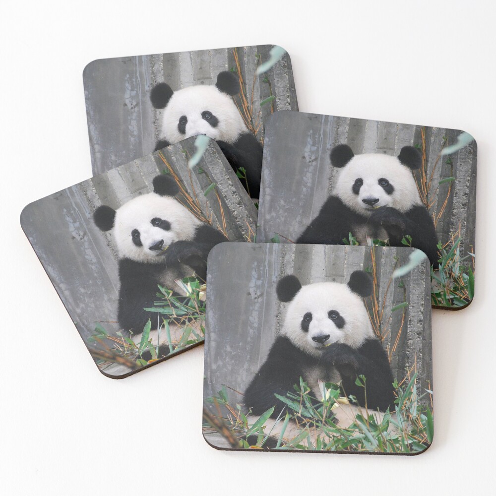 Item preview, Coasters (Set of 4) designed and sold by Cryptodesignz.
