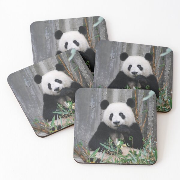 Item preview, Eating Panda designed and sold by Cryptodesignz.