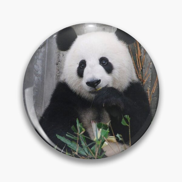 Item preview, Eating Panda designed and sold by Cryptodesignz.