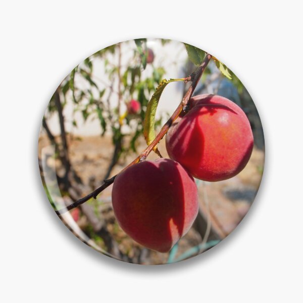 Item preview, Apples designed and sold by edwinvisuals.