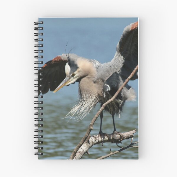 Item preview, Great Blue Heron designed and sold by THurdCreations.